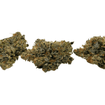 Death Tuna - AAAA (1/4 LB - 2 LB) - Image 3