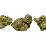 Super Silver Haze - AAAA (1/4 LB - 2 LB) - Image 3