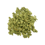 Red Congolese - Popcorn - Image 3