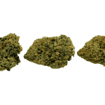 GMO Cookies - AAA - Image 3