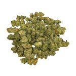 Frostbite - Popcorn - Image 3