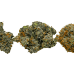 Tuna Kush - Craft Cannabis - Image 3