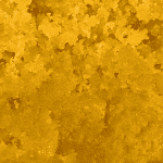 Mango Kush - Live Resin (Indica) (1/4 LB - 1 LB) - Image 4