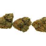 Jack Herer - AAA (1/4 LB - 2 LB) - Image 3