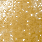 Pineapple OG - Shatter - Image 4