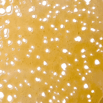 Orange Creamsicle - Shatter (1/4 LB) - Image 4