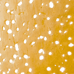 White Rhino - Shatter - Image 4