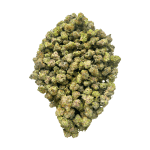 Super Silver Haze - Popcorn - Image 4