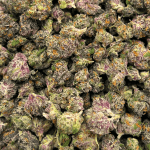 Garlic Cookies - Popcorn - Image 3