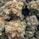 Hindu Kush - Craft Cannabis (1/4 LB - 1 LB) - Image 3