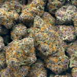 Granddaddy Purple - AAAA - Image 3