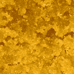 Nebula - Live Resin (Hybrid) (1/4 LB - 1 LB) - Image 4