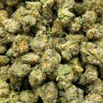 Frostbite - Popcorn (1/4 LB - 2 LB) - Image 5