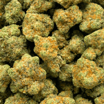 Cherry Runtz - AAA (1/4 LB - 2 LB) - Image 5