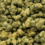 Cherry Runtz - Popcorn (1/4 LB - 2 LB) (Copy) - Image 5