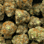 San Fernando Valley OG - AAAA - Image 5