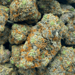 Bubba OG - Craft Cannabis (1/4 LB - 1 LB) - Image 5