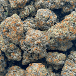 Island Pink - Craft Cannabis (1/4 LB - 1 LB) - Image 5