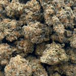 Death Tuna - AAAA (1/4 LB - 2 LB) - Image 5