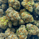 Super Silver Haze - AAAA (1/4 LB - 2 LB) - Image 5