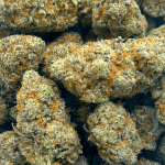 Oreoz - AAAA (1/4 LB - 2 LB) - Image 5