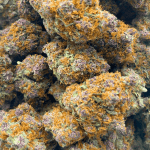Purple Star Killer - AAAA (1/4 LB - 2 LB) - Image 5