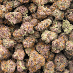 Purple Star Killer - Popcorn (1/4 LB - 2 LB) - Image 5