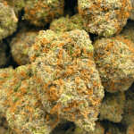 Master Kush - AAAA (1/4 LB - 2 LB) - Image 5