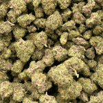 Mendo Breath - Popcorn - Image 5