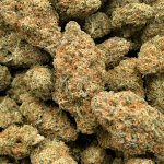 OG God - AAA (1/4 LB - 2 LB) - Image 5