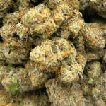 G-Wiz - AAAA - Image 5