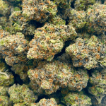 MK Ultra - Craft Cannabis (1/4 LB - 1 LB) - Image 5