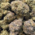 Blue Cheese - AAA (1/4 LB - 2 LB) - Image 5