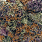 Granddaddy Purple - AAAA - Image 2