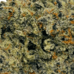 White Fire OG - AAAA (1/4 LB - 2 LB) - Image 2