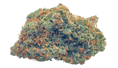 Red Congolese - AAA (1/4 LB - 2 LB)