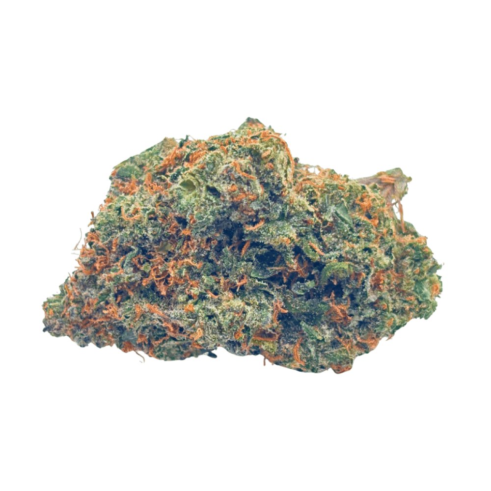 Red Congolese AAA Red Congolese - AAA (1/4 LB - 2 LB) - Image 1