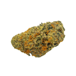 Critical - AAA