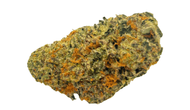 Critical - AAA (1/4 LB - 2 LB)