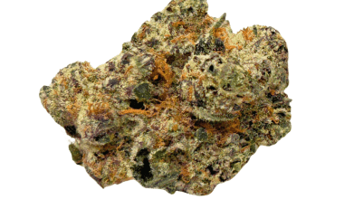Black Cherry OG - AAAA