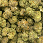 Lemon Kush - Popcorn (1/4 LB - 2 LB) - Image 2