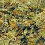 Death Bubba - Craft Cannabis (1/4 LB - 1 LB) - Image 2