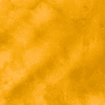 2 31