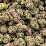 Black Cherry OG - Popcorn (1/4 LB - 2 LB) - Image 2