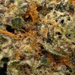 Black Cherry OG - AAAA (1/4 LB - 2 LB) - Image 2