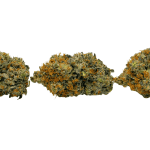 Rockstar Pink - Craft Cannabis (1/4 LB - 1 LB) - Image 3