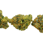 Bubba OG - AAAA - Image 3