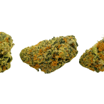 Critical - AAA (1/4 LB - 2 LB) - Image 3