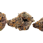 Rainbow Runtz - AAAA (1/4 LB - 2 LB) - Image 3