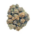 Rockstar Pink - Craft Cannabis (1/4 LB - 1 LB) - Image 4
